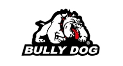 Bully Dog