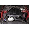 K&N | 81-0802 Catch Can Oil Separator Ford Mustang 5.0L - Mustang 5.0L 2018-2023