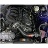 K&N | Typhoon Performance Air Intake System - Mustang 3.7L 2015-2017