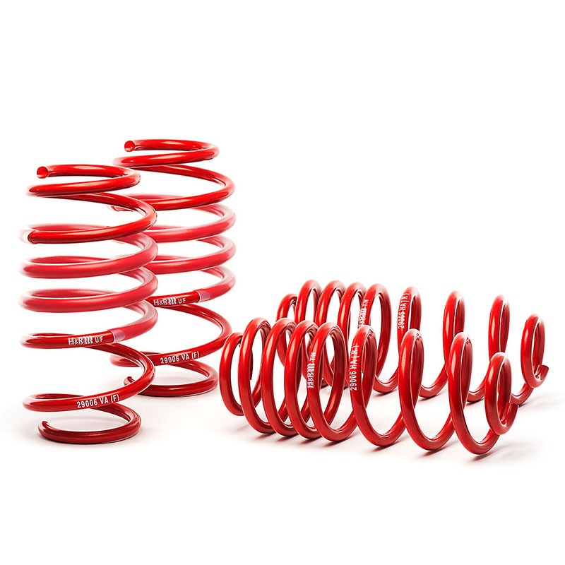 H&R | Race Springs - Mustang / Mach 1 / SVT Cobra 1979-2004