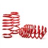 H&R | Race Springs - Mustang / Mach 1 / SVT Cobra 1979-2004
