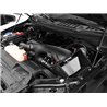 aFe Power | Magnum FORCE Stage-2 Cold Air Intake System w/Pro DRY S Media - F-150 2.7T / 3.5T 2015-2025
