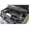 aFe Power | Momentum GT Cold Air Intake System w/Pro DRY S Media - F-150 5.0L 2015-2020