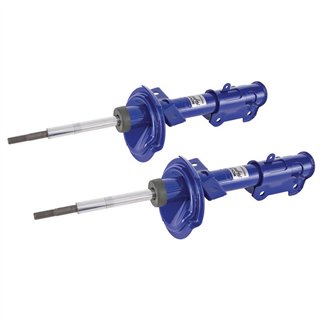 ROUSH | Front Struts - Mustang 05-10