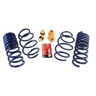 Ford Performance | 2015-20 MUSTANG STREET LOWERING SPRINGS
