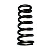 Skyjacker | Coil Spring Set - Ram 1500 / 2500 / 3500 2000-2001