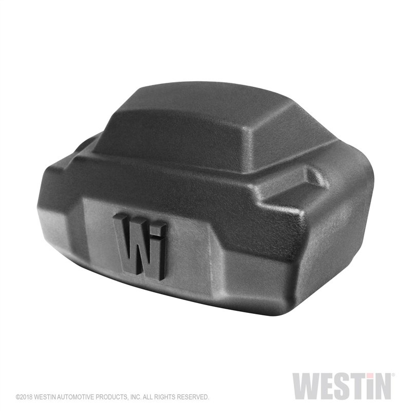 Westin Automotive | R5 Nerf LED Light Kit