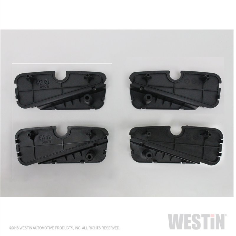Westin Automotive | R5 Nerf LED Light Kit
