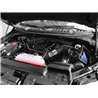 aFe Power | Magnum FORCE Stage-2 Cold Air Intake System w/Pro 5R Media - F-150 5.0L 2015-2020
