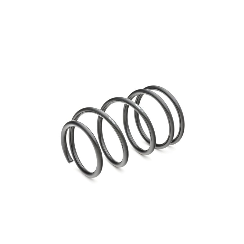 Eibach | PRO-KIT Performance Springs (Set of 4 Springs) - G8 Base / GT 3.6L / 6.0L 2008-2009