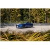 Corsa | Xtreme Cat-Back Exhaust System - Mustang Shelby GT350 / Shelby GT350R 5.2L 2015-2020