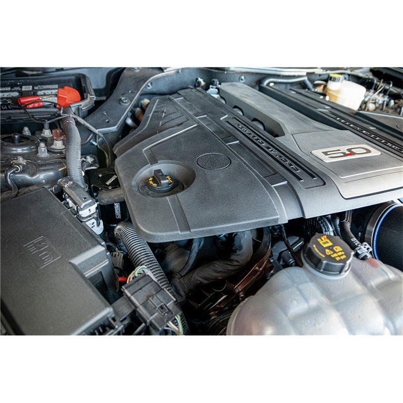 Corsa | Engine Oil Catch Can - Mustang 5.0L 2018-2023