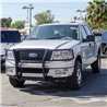 ARIES | Black Steel Grille Guard - F-150 / Mark LT 2004-2008