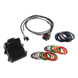 Holley | Holley EFI Input/Output Module Kit