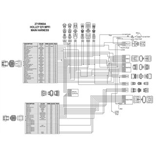 Holley | HP EFI ECU And Harness Kit