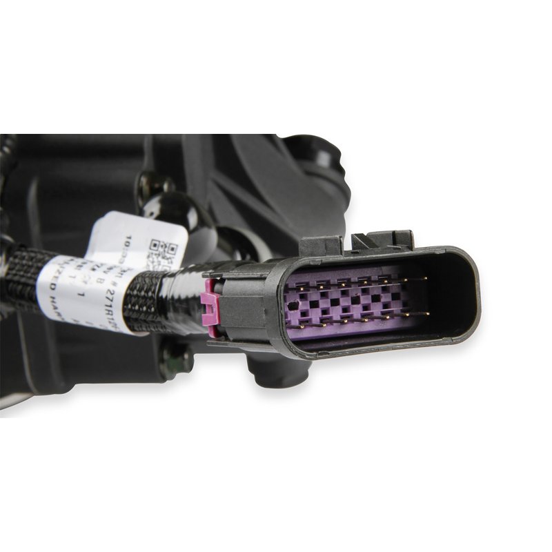 Holley | Terminator X Max Stealth 4150 System