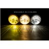 Holley | Holley Retrobright LED Headlight