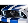 Oracle | LED Fog Halo Kit, Grill Style, White - Mustang 3.7L / 5.0L / 5.8L 2013-2014