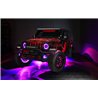 Oracle | High Performance Fog Lights, Dynamic ColorSHIFT - Gladiator / Wrangler (4xe) / Wrangler (JK) / Wrangler (JL) 2007-2024