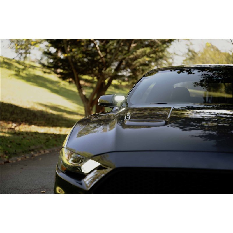 Morimoto | Ditch Light Brackets: Mustang (18-23 / Set)