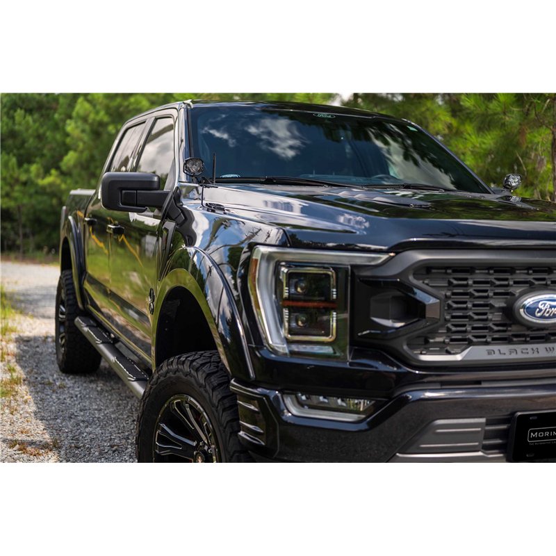 Morimoto | Ditch Light Brackets: F-150/Raptor (15-20 / Set)
