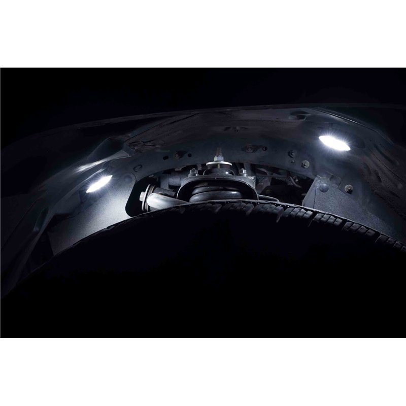 Morimoto | Rock Light Kit: White LED / 8 Pack