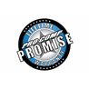 Pro Comp | Motorsports Series LED Pod: 5" / White / Combo Beam
