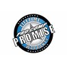 Pro Comp | S4-R LED Pods: 2x2 Round / 20W / White / Spot Beam