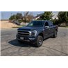 Cognito | 2.5" Standard Leveling Kit  - F-150 2021-2023