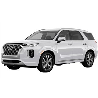 AVS | Aeroskin Hood Protector Smoke - Palisade 3.8L 2020-2025