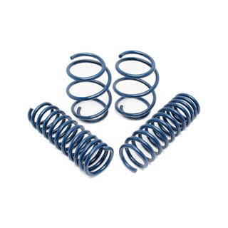 Dinan | Performance Coil Spring Set - 328i xDrive / 330i xDrive 2.0T / 3.0L 2013-2018