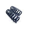 Dinan | Performance Coil Spring Set - 330i / 330i xDrive / M340i 2.0T / 3.0T 2019-2021