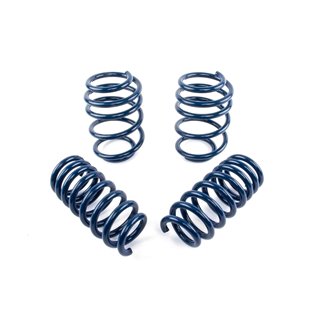 Dinan | Performance Coil Spring Set - X3 M / M Competition / X4 3.0T 2020-2021