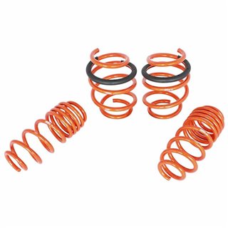 aFe Power | aFe CONTROL Lowering Springs - Focus 2.3T 2016-2018