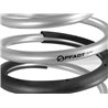 aFe Power | aFe CONTROL PFADT Series Lowering Springs - Camaro / Corvette / Silverado 1500 / SS 2010-2015