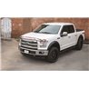 Stampede | Ruff Riderz™ Fender Flare - F-150 2.7T 2015-2017