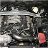 AEM | Cold Air Intake System - Mustang 5.0L 2015-2017