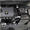 AEM | Cold Air Intake System - Elantra 2.0L 2018-2019
