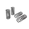 Eibach | PRO-KIT Performance Springs (Set of 4 Springs) - Camaro / Firebird 5.0L / 5.7L 1982-1992