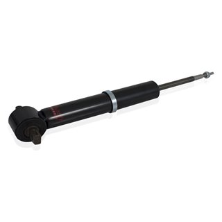 Eibach | PRO-TRUCK SHOCK (Single Front) - F-150 2018-2020