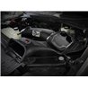 aFe Power | Momentum GT Cold Air Intake System w/Pro DRY S Media - F-150 5.0L 2021-2022