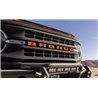 AVS | Aeroskin LightShield Pro Hood Protector - Bronco 2.3T / 2.7T 2021-2022