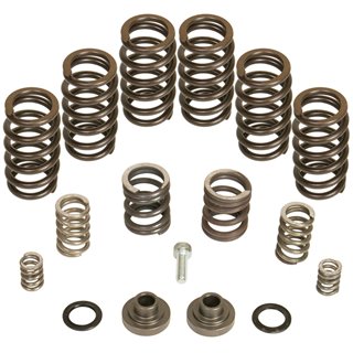 BD Diesel | Governor Spring Kit - Ram 2500 Base / 3500 5.9L 1994-1998