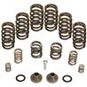 BD Diesel | Governor Spring Kit - Ram 2500 Base / 3500 5.9L 1994-1998