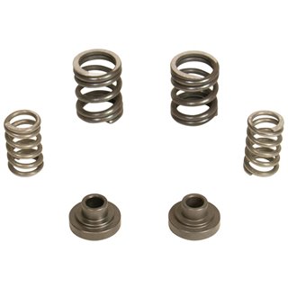 BD Diesel | Governor Spring Kit - Ram 2500 Base / 3500 5.9L 1994-1998