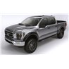 Bushwacker | Forge Style Fender Flares - F-150 2021-2022