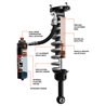 FOX Shocks | 2.5 Shocks