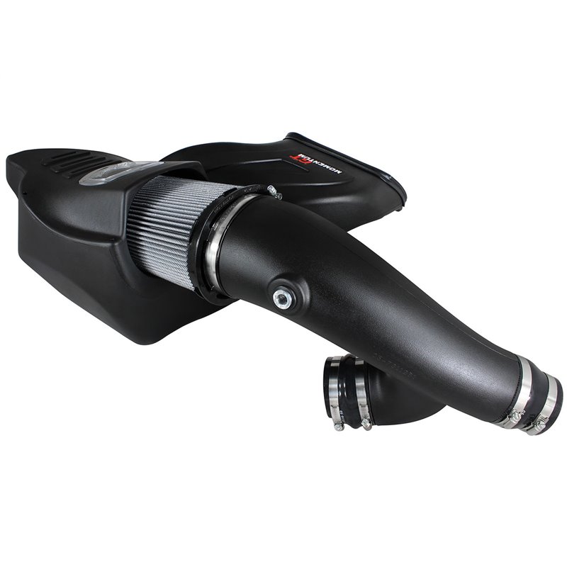 aFe Power | Momentum GT Cold Air Intake System w/Pro DRY S Filter - F-150 2.7T / 3.5T 2015-2016