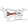 SPC | REAR TOE LINKS-HONDA/ACURA (2) - Rear - Acura / Honda 1988-2001