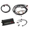 Holley | Dominator EFI ECU Kit